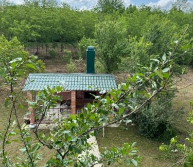 Martivili Cabin | Guesthouse SANIKO