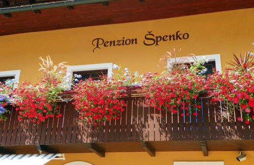 Kamnik House | Guesthouse Špenko
