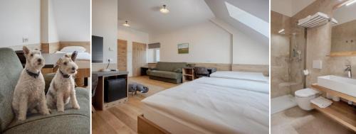 Vrhnika House | Guesthouse Turšič