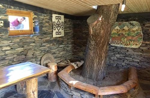 Omalo House | Guesthouse Tushetian Tower