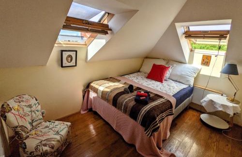 Zizkov House | Guestrooms, rooftop with garden, spacious living room, character and fireplace