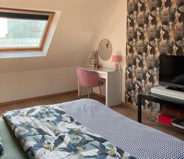 Guilers Villa | Guilers vert