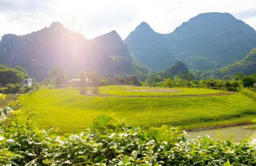 Xiufeng Hotel | Guilin Peach Blossom Bay Hotel