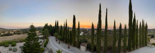 Simou Villa | Gujadani Villa