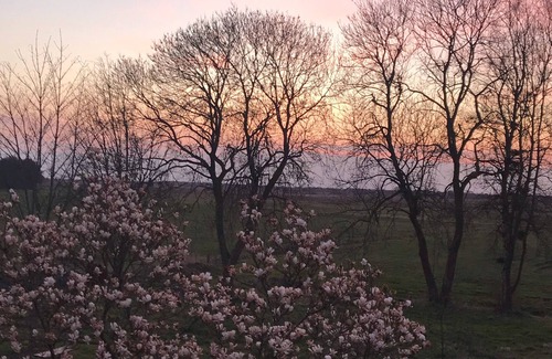 Ihlow Apartment | Gulfhof vacation apartment "Spiekeroog" on the nature reserve with a fantastic view