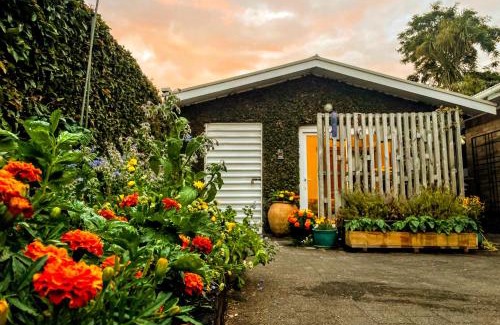 Hamilton North Apartment | Gully hideaway apartment