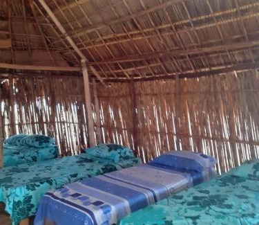 Carti Tupile Bed & Breakfast | Gunayar amazing
