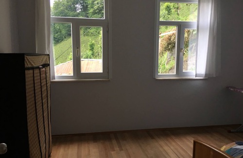 Cayirduzu Apartment | Gunguli Hostel in Çamlıhemşin