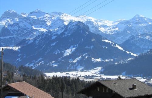 Lenk Apartment | Gutenbrunnenstrasse 94