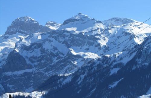 Lenk Apartment | Gutenbrunnenstrasse 94