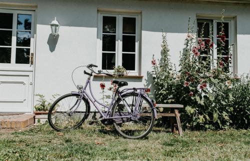 Rugen Island Apartment | Gutshaus Krimvitz Ferienwohnung auf Rügen
