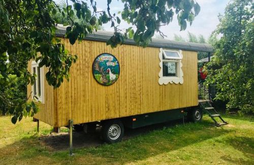 Municipality of Bergen op Zoom House | Gypsy Caravan in Weideblick with Farm Animals