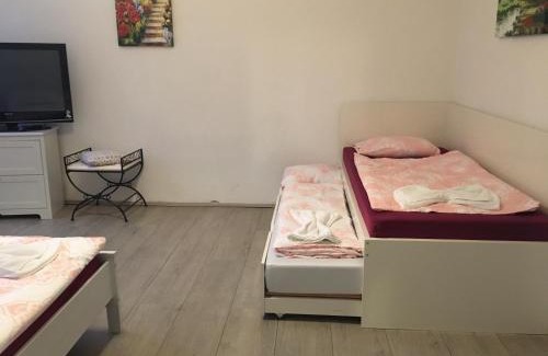 Svahova Apartment | Hájovna Svahová