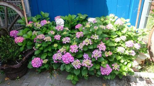 Muelheim Bed & Breakfast | Héritage B&B