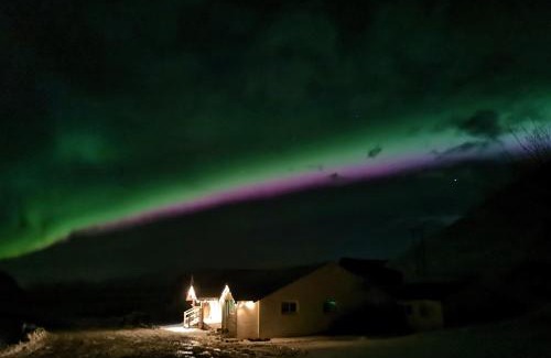 Vik I Myrdal Hotel | Hótel Búrfell