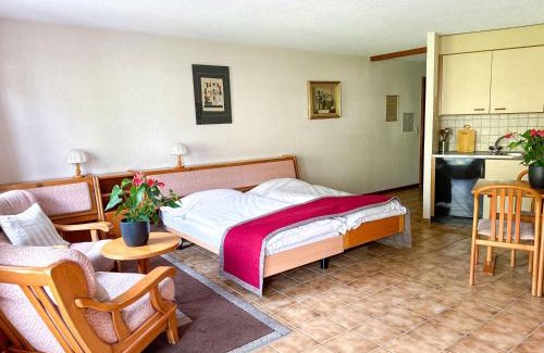 Saillon Hotel | Hôtel des Bains de Saillon