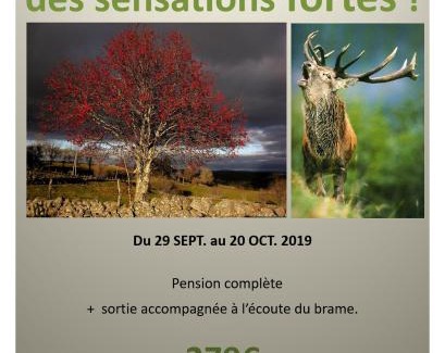Nasbinals Hotel | Hôtel le bastide