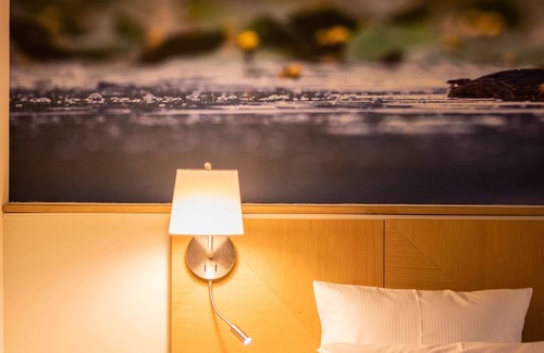 Lamotte-Beuvron Hotel | Hôtel Restaurant Spa la Maison Tatin