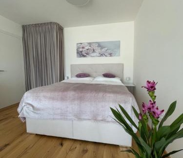 Brno-stred Apartment | H52 Apartments