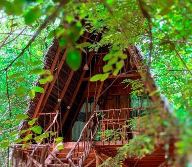 Habarana Resort | Habarana Tree House Ambasewana Resort