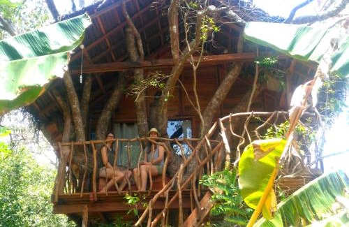 Habarana Resort | Habarana Tree House Ambasewana Resort