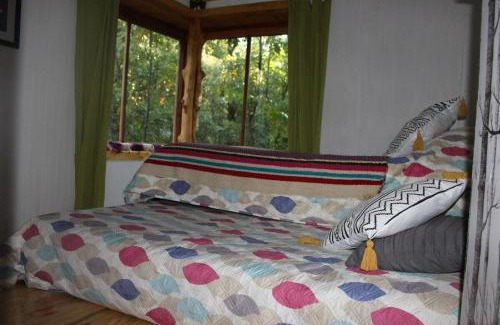 Ralco Bed & Breakfast | Habitaciones en el bosque LLiwin ko Alto Biobio
