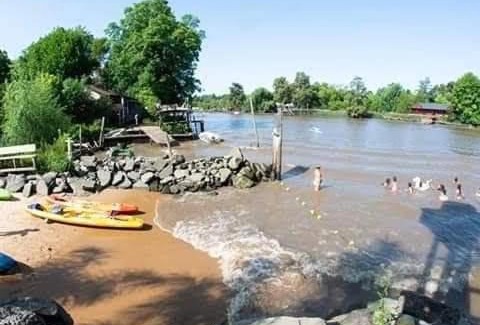 Tigre Other | Hace tu vida