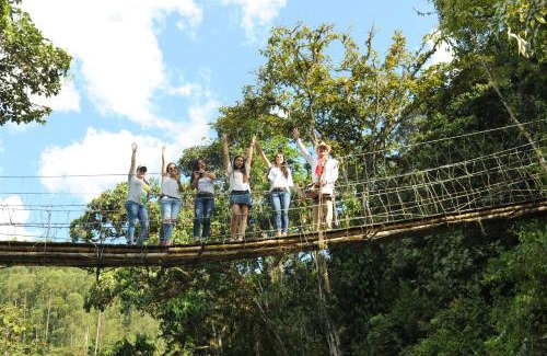 Las Mercedes Apartment | Hacienda Charrascal Coffe Farm