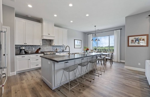 Acampo House | Hacienda Estates : Rivera - One of four new homes set in scenic vineyards