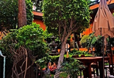 San Miguel Chapultepec Hotel | Hacienda Gobernadores