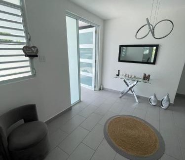Comerio Villa | Hacienda JM's