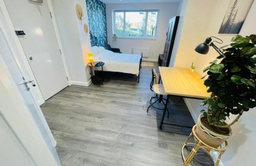 Upper Clapton Apartment | Hackney Studios by Sleepy