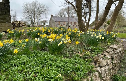 Southgate House | Hael Farm Cottage