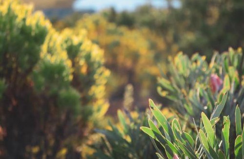 Stanford House | HaesFarm