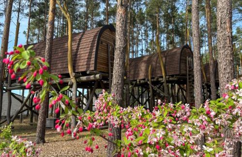 Senftenberg Apartment | Hafencamp Senftenberger See