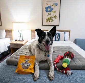 Hagerman Hotel | Hagerman Valley Inn