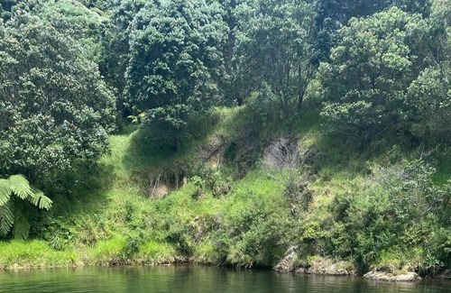 Te Mata House | Hakuna Te Mata - Bush walks beach & waterholes - Coromandel Coast