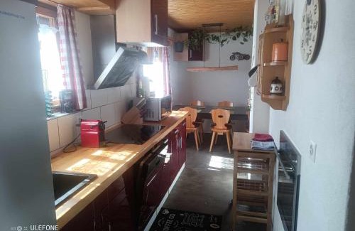 Serneus Apartment | Haldi Apartment