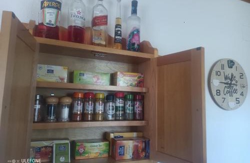 Serneus Apartment | Haldi Apartment