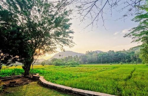 Agalawatta Hotel | Halketha