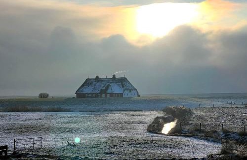 Langeneß Apartment | Hallig Hüs