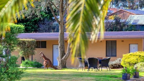 Yass Hotel | Hamilton Hume Motor Inn