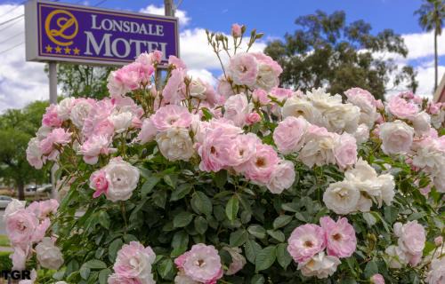 Hamilton Hotel | Hamilton Lonsdale Motel