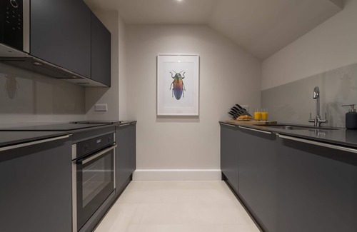 Windsor Apartment | Hampden Apartments - The Diana