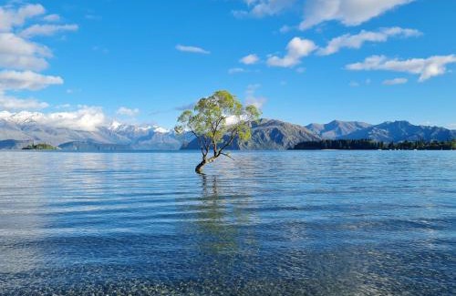 Wanaka Other | Hampshire Holiday Parks - Wanaka