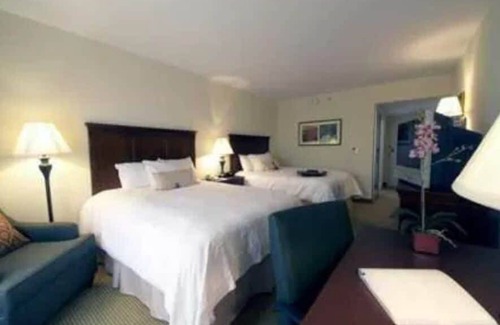 Dobson Hotel | Hampton Inn and Suites Dobson
