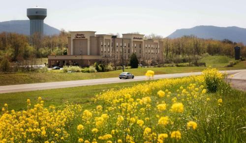 Woodstock Hotel | Hampton Inn and Suites Woodstock, Virginia
