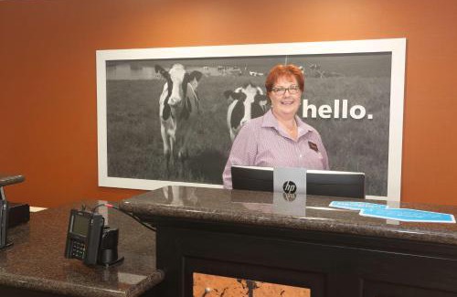 Owego Hotel | Hampton Inn Owego