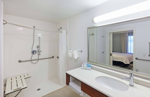 Greater Greenspoint Hotel | Hampton Inn & Suites by Hilton Houston North IAH
