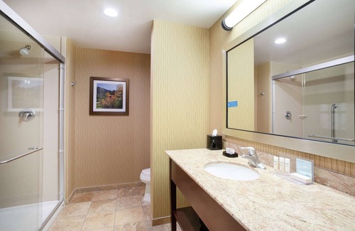 Lone Tree Hotel | Hampton Inn & Suites Denver/South-RidgeGate